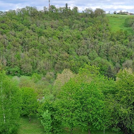Agreable T2 Classe 3 Etoiles, Refait A Neuf, Dans Quartier Calme Rodez Extérieur photo