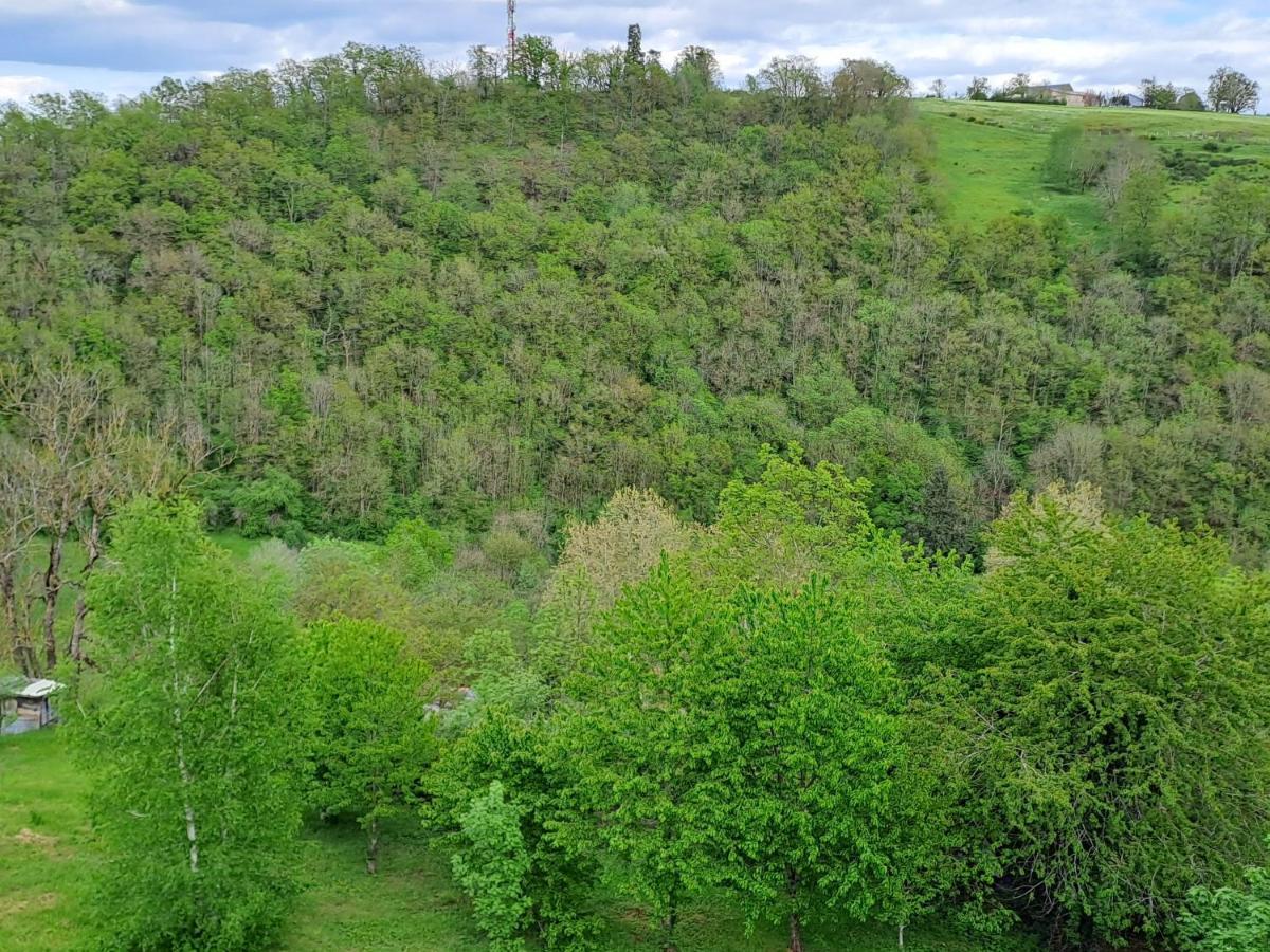 Agreable T2 Classe 3 Etoiles, Refait A Neuf, Dans Quartier Calme Rodez Extérieur photo